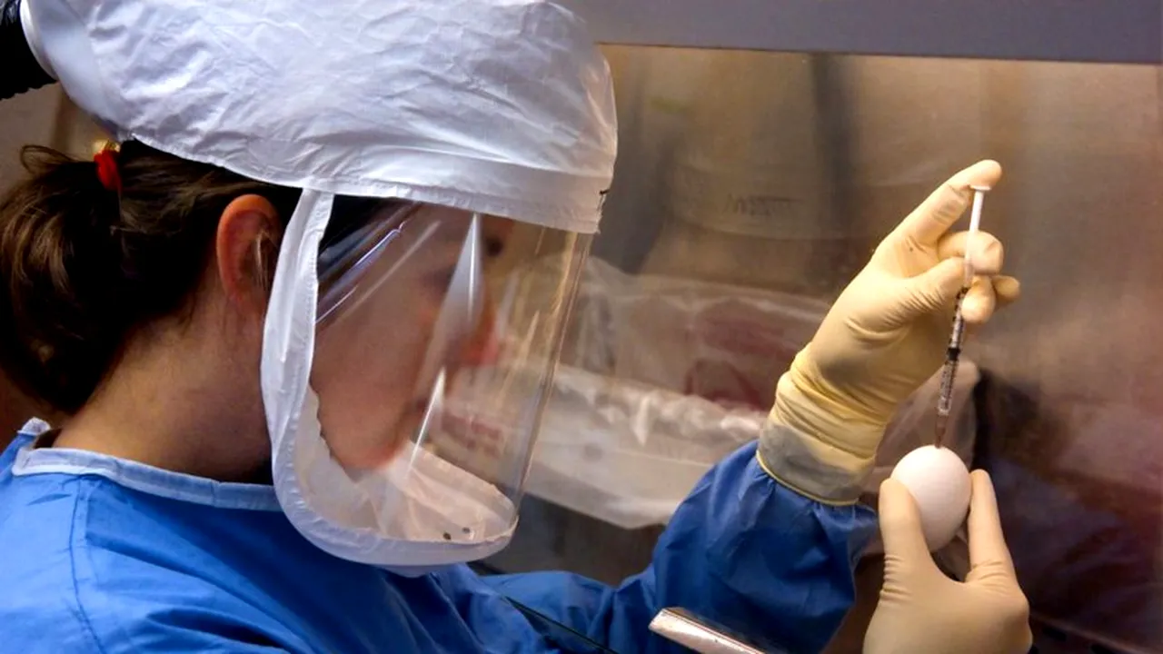 Ministerul Sănătății, anunțul momentului! Câte doze de vaccin gripal vor ajunge la medicii de familie din România, în această săptămână