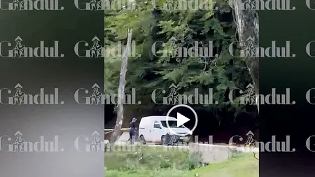 A depășit BARIERA în trombă pe un drum forestier din Bucegi, riscând să accidenteze o familie de turiști. Salvamont: Sunați la 112!