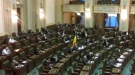 Senatoarea Cristiana Anghel, lovită în plenul Senatului de un steag făcut cadou de Ilie Năstase