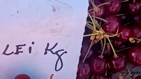 Cele mai IEFTINE cireșe românești! Cu câți lei au ajuns să se vândă