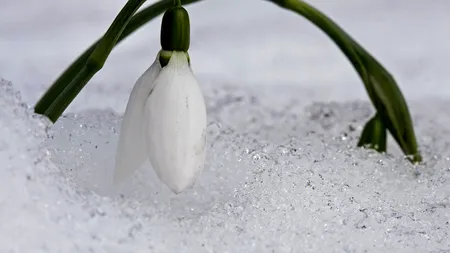 METEO. Se încălzește vremea în România. Unde vor fi 13 grade