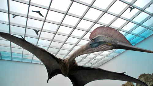Cel mai mare dinozaur zburător din lume, descoperit în România, expus la Antipa