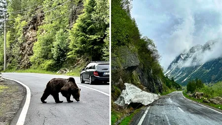 Ce i s-a ÎNTÂMPLAT unui șofer român care a mers pe Transfăgărășan de Rusalii, cu toate că drumul e încă închis