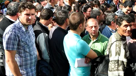 Jobul anului 2012 pentru care s-au bătut mii de români. De ce vom avea mai puține locuri de muncă în 2013