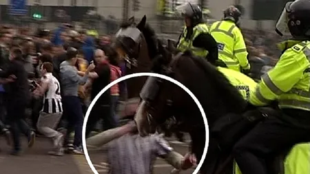 Huligan englez, condamnat la închisoare, după ce a lovit un cal al poliției
