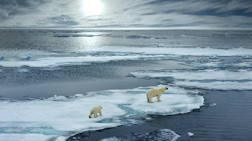 Studiu: Încălzirea regiunii arctice este responsabilă pentru valurile de frig din Europa