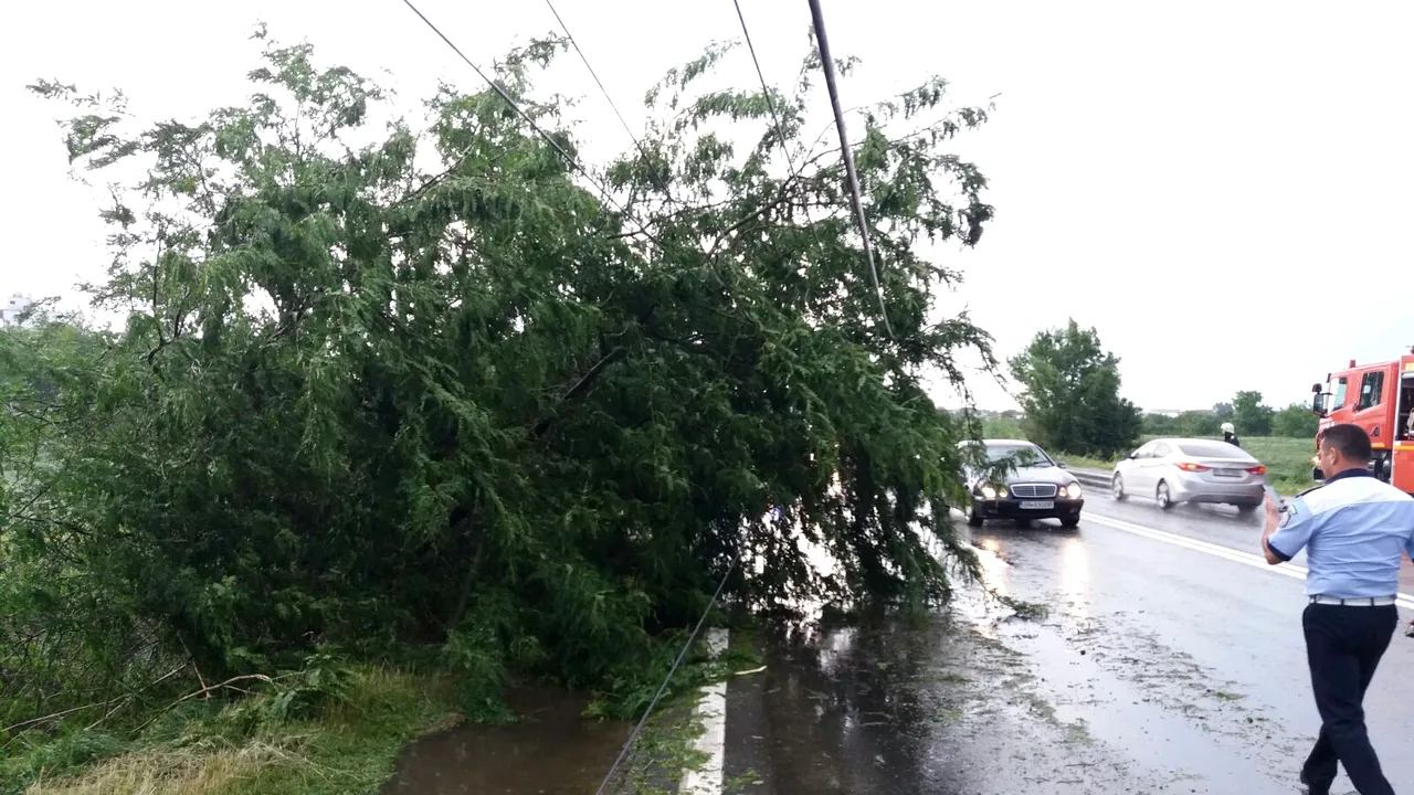 Vântul a făcut ravagii pe DN 6. GALERIE FOTO