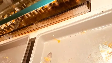 „Jocurile foamei” pentru un român în Bulgaria. Ce a primit să mănânce la all-inclusive: „Nu am mai suportat și am plecat cu 2 zile mai devreme”