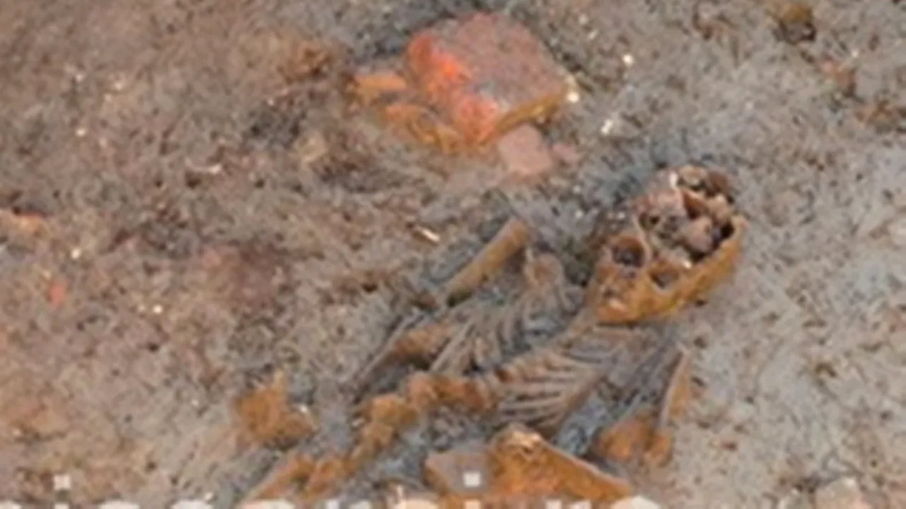 FOTO. Scheletele a doi copii, găsite în timpul lucrărilor de reabilitare a centrului istoric din Timișoara