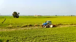 Sistemul antigrindină naște dispute. În lipsa unui Guvern cu puteri depline, programul nu poate fi aprobat. Viticultorii cer salvarea culturilor