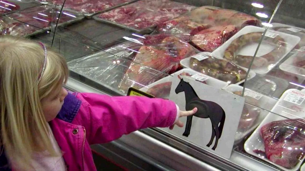 Carne de cal, depistată în loturi de carne etichetată drept vită, în Olanda