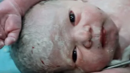 Singurul lucru pe care războiul nu-l poate ucide