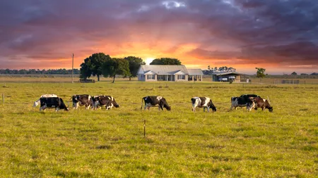 Salariul uriaș pe care îl poți primi ca inginer zootehnist, la o fermă modernă din Moldova. Nu e nevoie de experiență și ai și bonusuri