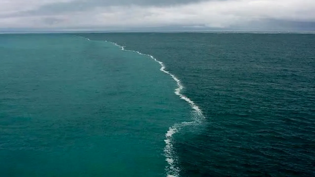 Record de longevitate doborât. Ce vertebrată poate trăi peste 300 de ani 