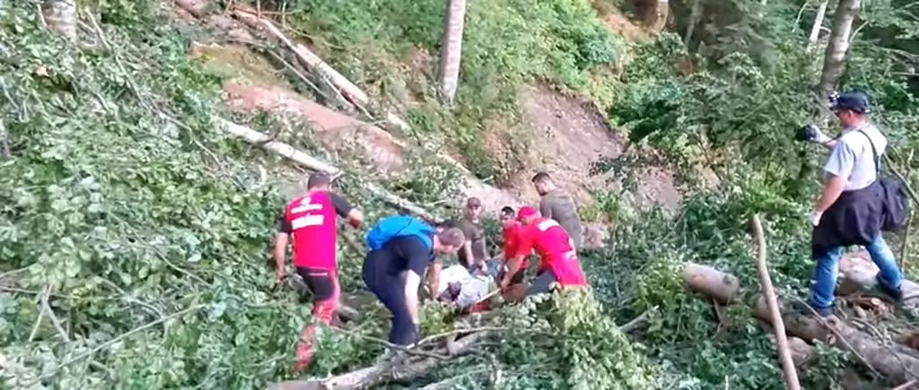 Sfârșit cumplit pentru un muncitor forestier din Argeş după ce a pierdut controlul drujbei cu care tăia un copac