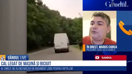 GÂNDUL LIVE. M. Chirca, despre cruzimea împotriva animalelor. Problema majoră e legea eutanasiei care a încurajat  firmele private de hingheri să se înfrupte din banul public | Cazurile de violență filmate și cunoscute reprezintă poate 1% din atrocitățile petrecute la nivel național