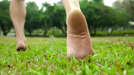 STUDIU. Ce se întâmplă în creier atunci când cădem