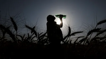 Record de căldură în India. Termometrele au indicat peste 49 de grade Celsius