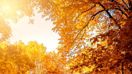 Meteorologii anunță o TOAMNĂ călduroasă. Temperaturi mai ridicate decât cele specifice