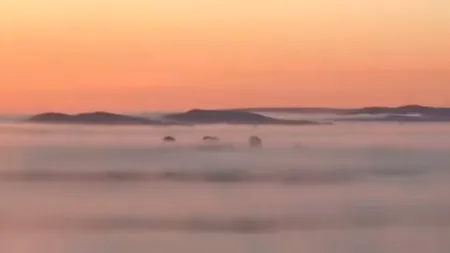 Dunărea face spectacol: Imagini inedite în dreptul orașului Galați - VIDEO