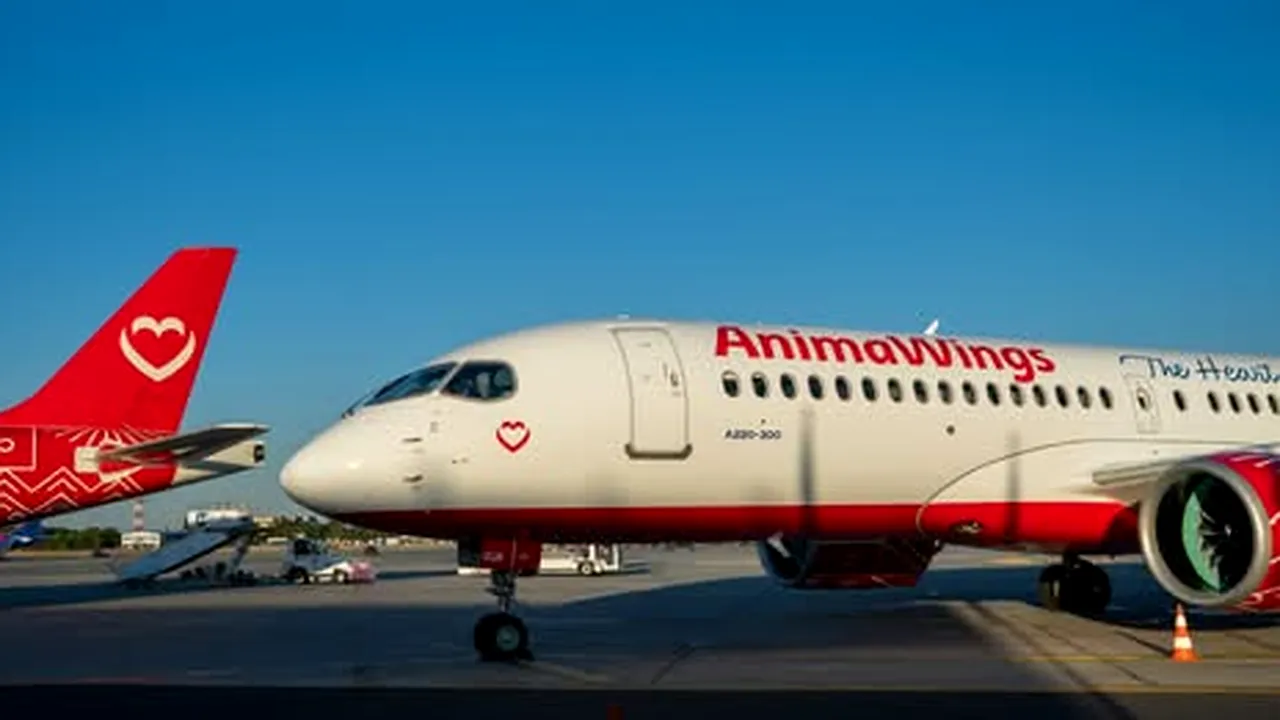 AnimaWings a suspendat toate zborurile regulate până pe 25 octombrie. Ce se va întâmpla cu biletele cumpărate de pasageri