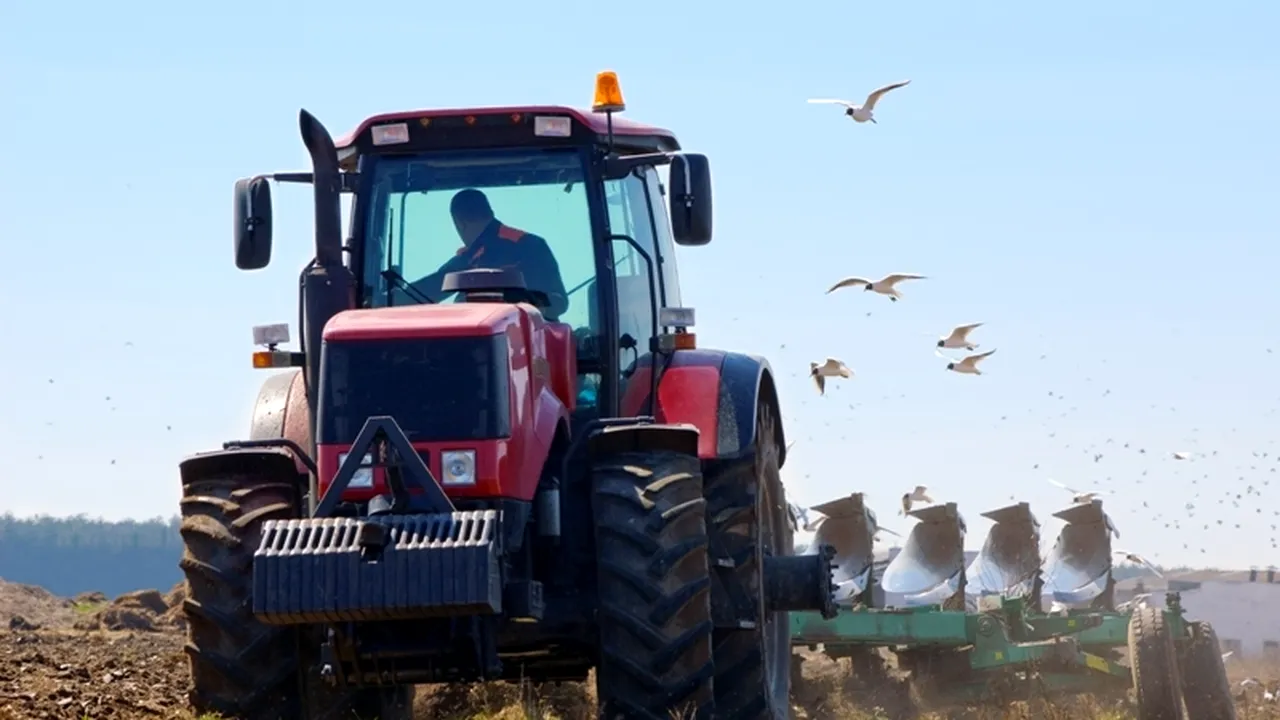 Rezultatele slabe din agricultură confirmă creșterea economică modestă de 0,2% din PIB