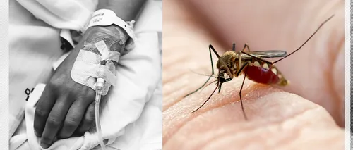 Un pacient cu malarie a murit la “Victor Babeş”. Ministerul recomandă turiștilor vaccinarea