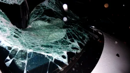 TRAGEDIE în Germania: Patru români au murit după ce mașina în care se aflau a zburat 30 de metri și s-a izbit de copaci