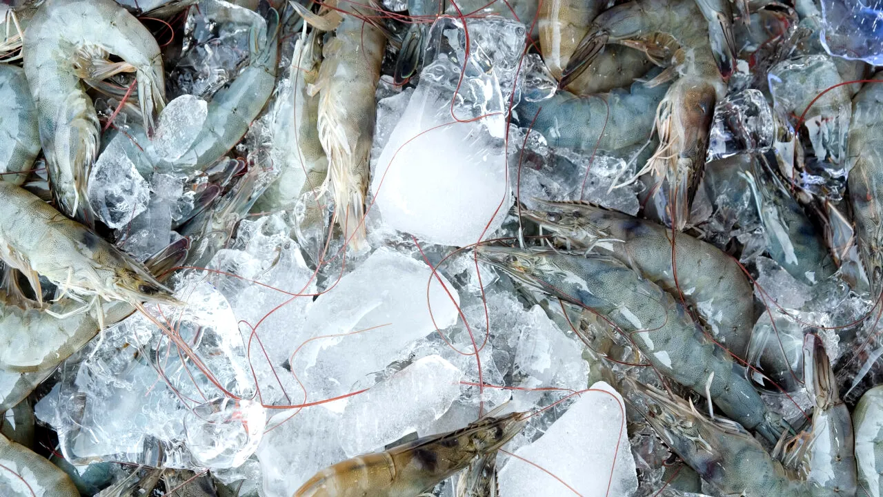 Creveți congelați cu urme de radioactivitate, vânduți în cel mai mare lanț alimentar din America/De ce este periculos CESIUL-137