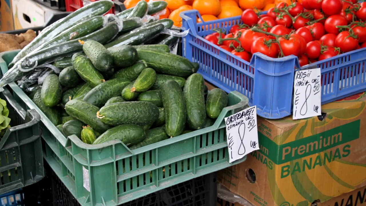 Procurorii buzoieni au rezolvat cazul: castraveții crescuți cu SUBSTANȚE pentru forțarea coacerii sunt neconformi