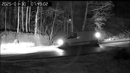 Un vâlcean a primit o amendă URIAȘĂ  după ce a abandonat trei căței. Acțiunea bărbatului a fost filmată