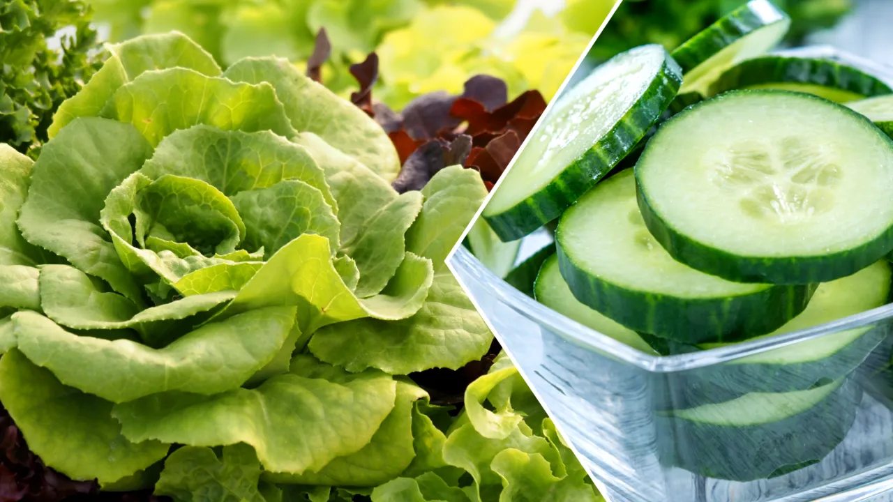 Ce se întâmplă în organism dacă mănânci salată verde și castraveți. Se află printre alimentele des consumate vara