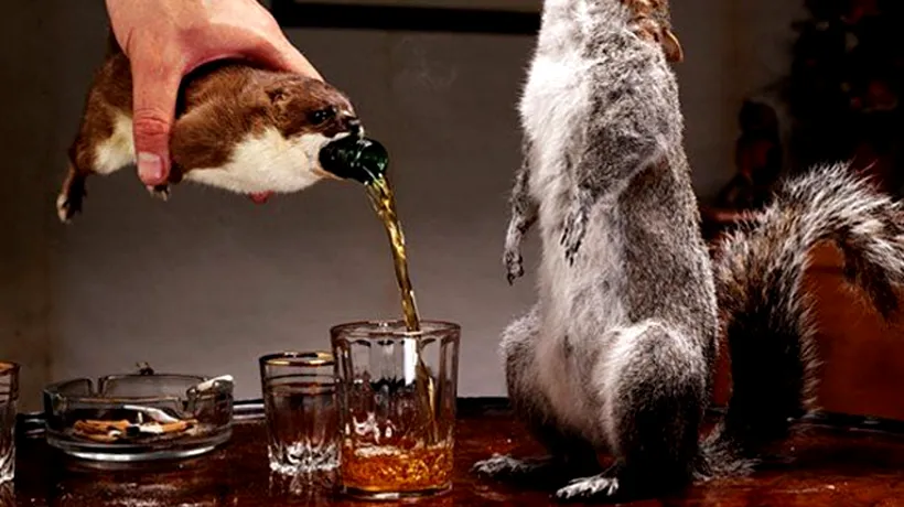 Una dintre cele mai scumpe beri din lume este servită într-o veveriță moartă