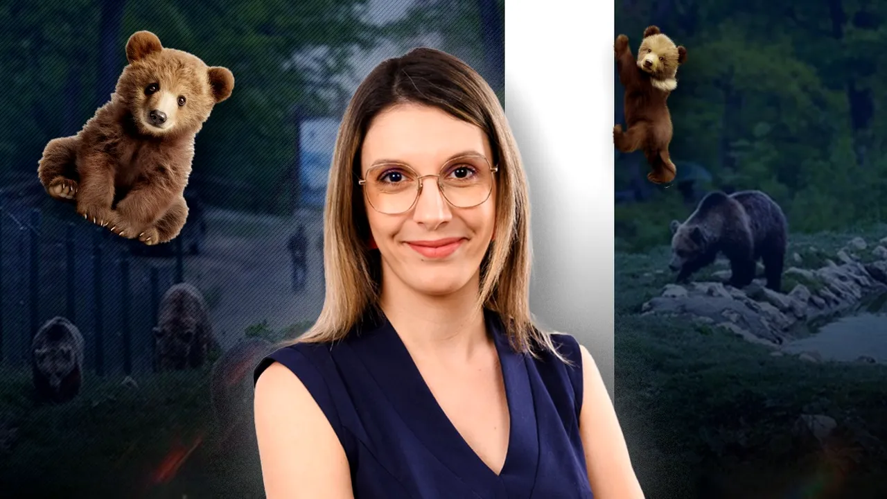 Diana Buzoianu în vizită la CASA de CORECȚIE pentru Urși de la Brașov. Când va fi finalizat noul sanctuar pentru fiarele problemă