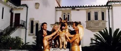 Ce avere au cele mai bogate animale din lume: câinele contesei Karlotta Liebenstein și pisica lui Karl Lagerfeld