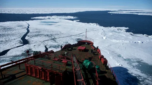 Un sunet misterios se aude din adâncurile apelor arctice. Toate animalele din regiune și-au abandonat rutele migratorii