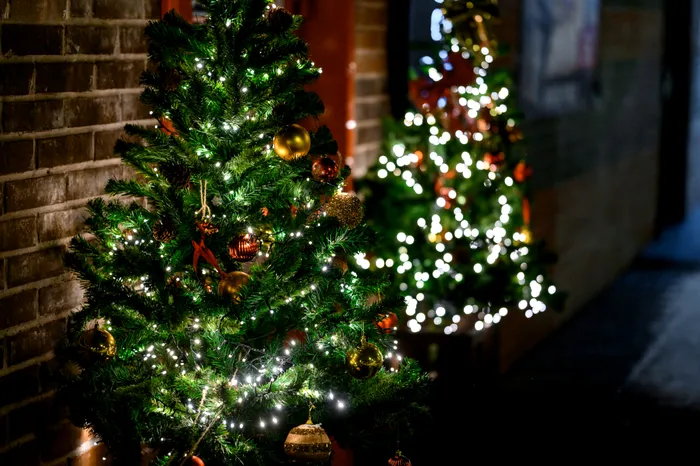 foto ilustrativa: sursa foto: Envato