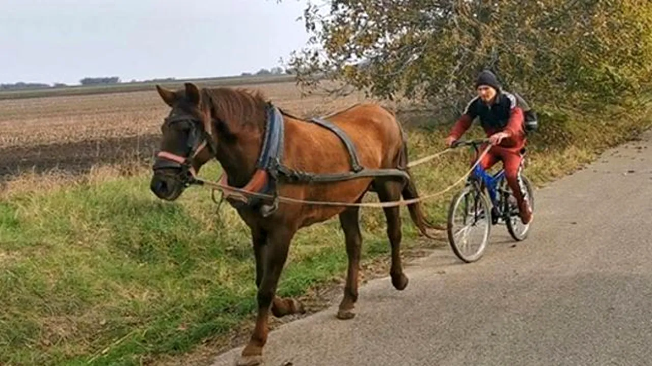 Imaginația unui vasluian nu are limite! A inventat bicicleta trasă de cal, pe care a inaugurat-o pe drumurile din jurul comunei. VIDEO FABULOS