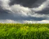 Cum va fi vremea în minivacanța de 1 Mai. ANM: Temperaturile scad sub media normală în aceste regiuni!