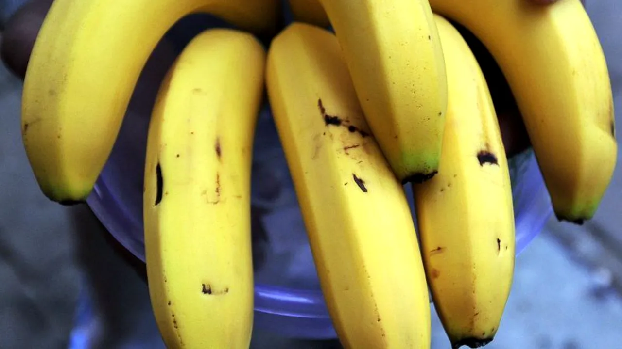 Anunț îngrijorător: 85% din producția mondială de banane ar putea fi distrusă. Care este motivul