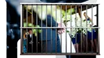 Un criminal odios se însoară cu o ucigașă condamnată pe viață, la Penitenciarul Arad. Bărbatul divorțează de o altă deținută periculoasă