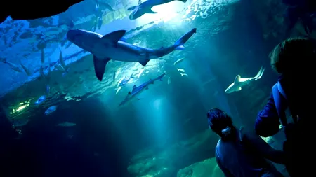 Ofertă inedită a unei companii imobiliare. Locul neobișnuit unde își vor petrece noaptea câștigătorii