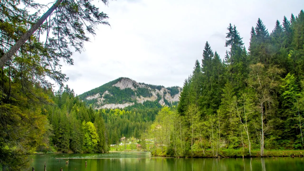 Locul din România care se transformă total toamna. Se află la 360 de kilometri de București și turiștii se bucură, aici, de aerosoli naturali