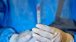 Alertă sanitară în Canada după primul caz suspect de hantavirus la o pasageră aflată bordul navei de croazieră „MV Hondius”