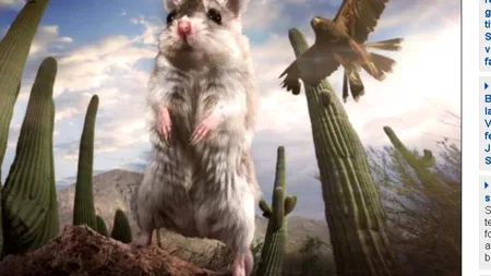 BBC recunoaște că scene dintr-un documentar despre viața animalelor au fost trucate