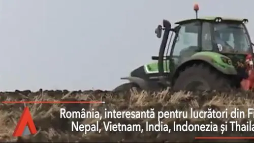 România, tot mai atractivă pentru muncitorii din Asia