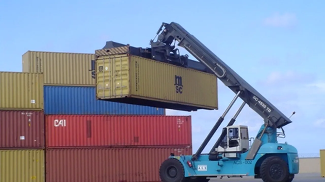 Ce au descoperit inspectorii vamali din Constanța într-un container sosit din SUA