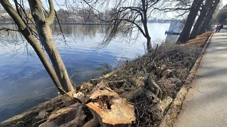 Cum explică Primăria Capitalei HAOSUL din Parcul Herăstrău, cu copaci și stâlpi rupți: „Terenul este al unui club, ei trebuie să degajeze”