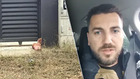 A apărut personajul care susține că a pus capul de porc în fața casei lui Marius Lulea. S-a filmat și și-a postat mărturia pe Facebook. Reacția AUR