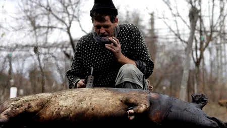 După 20 de ani, moldoveanul, ca românul la poarta UE: „Cum tăiem porcul de Crăciun?